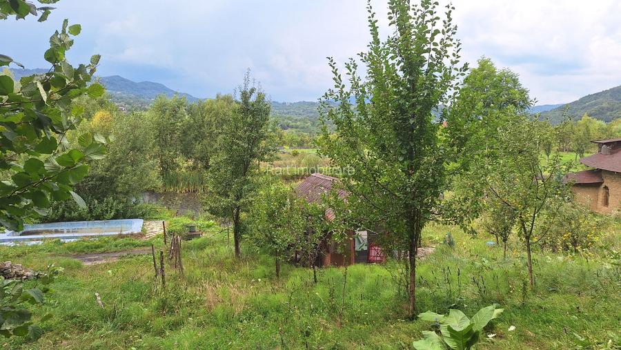 VANZARE ANSAMBLU CASUTE BRADULET ARGES - 12