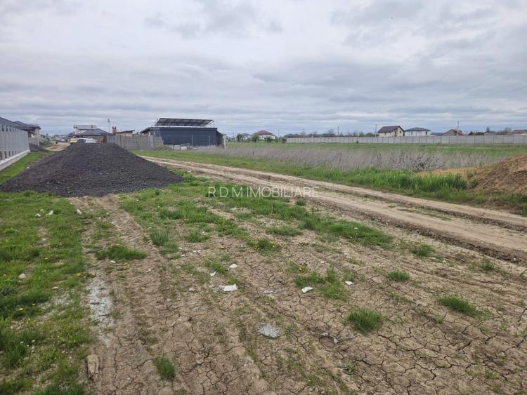 LOT 500 mp Clinceni - 4