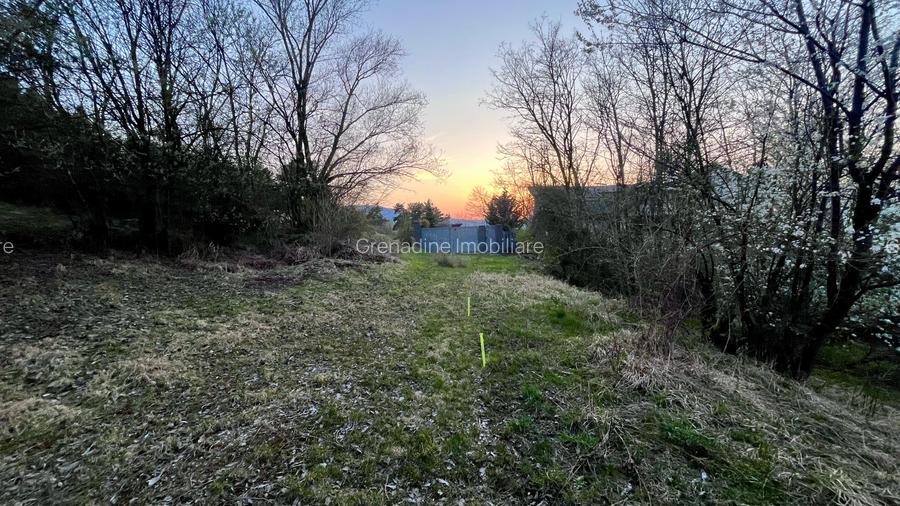 Teren Intravilan 495 mp – Zonă Liniștită - Strada Livezii - 5