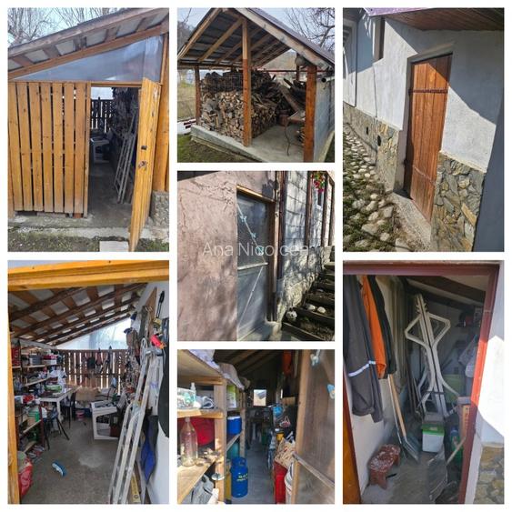 Se vinde: două case si o grădină de vis in Valea de Brazi - 5