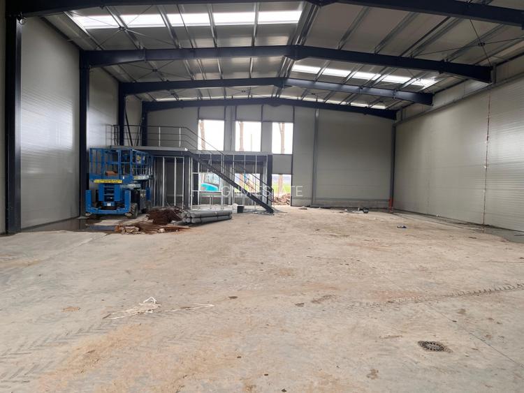 Vanzare Hala 540 mp Afumati - 6