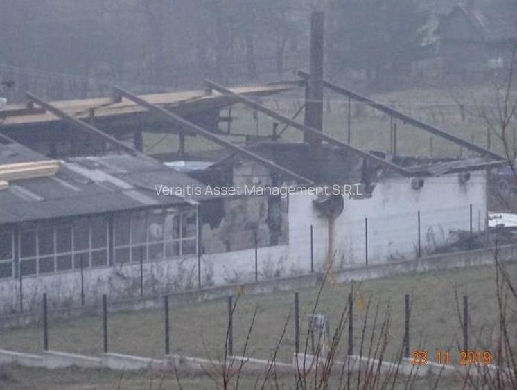 Teren intravilan 1.000 mp + hala debitare si hala prelucrare lemn - 7