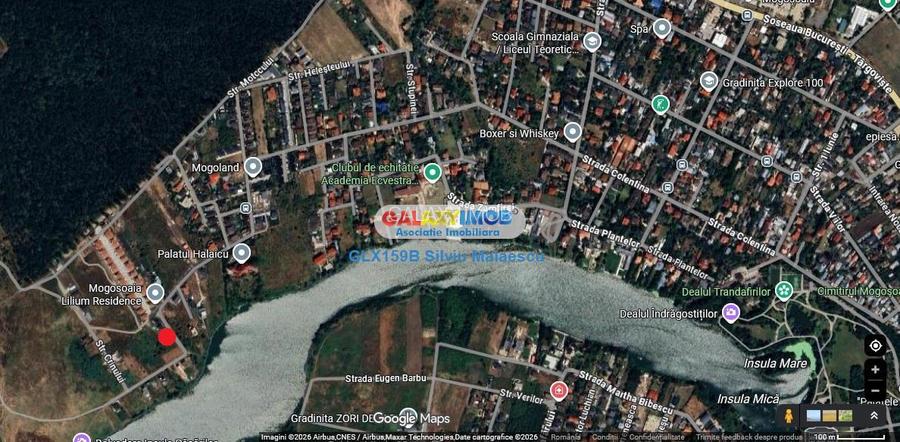 Mogosoaia 1.000 Mp str. Crinului - 2