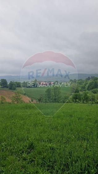 Teren 2,723mp Bratca / Drumul principala - 2