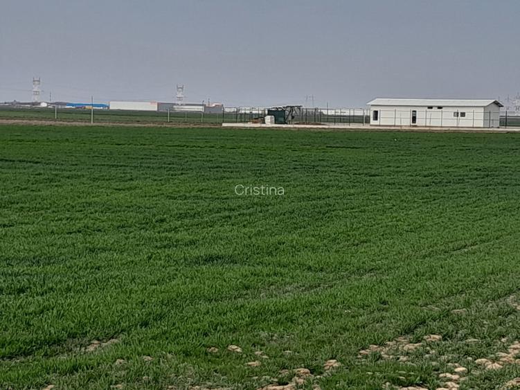 Teren extravilan- strada Mecanizarii, comuna Berceni, jud Ilfov - 6