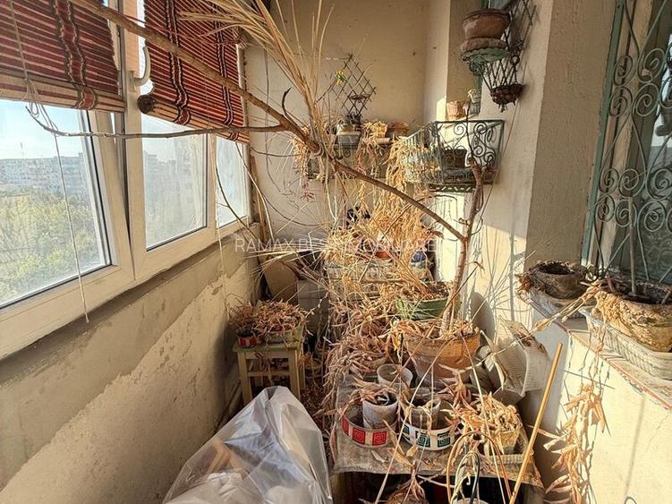 Baba Novac, Campia Libertatii, chiar la coltul parcului IOR, 2 bai - 3