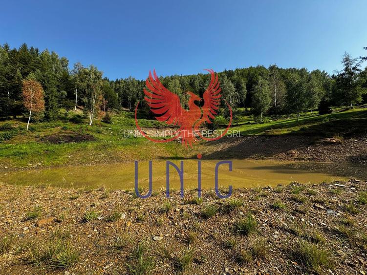 18000 mp de natura pura ,Lupeni, langa Straja - 15