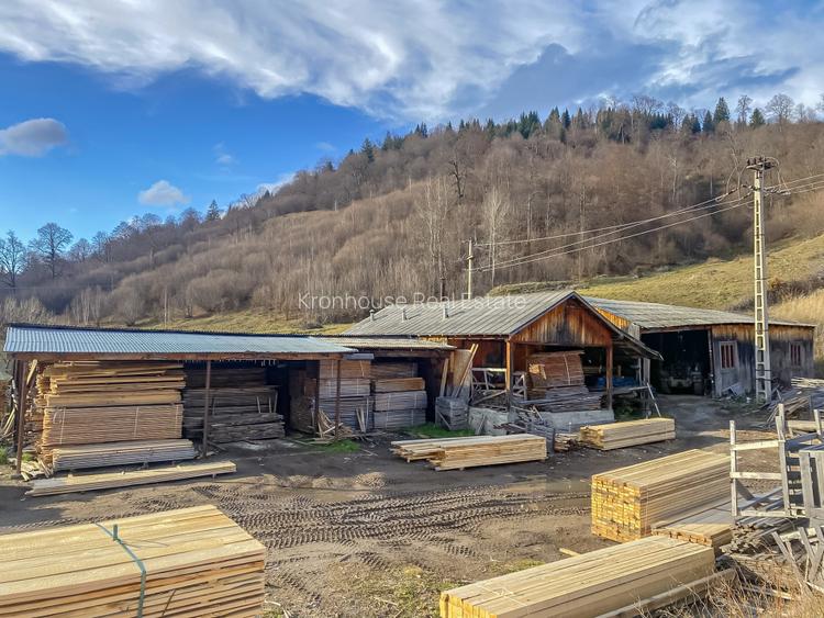 Vanzare fabrica productie lemn Tulghes, utilaje + uscator incluse Comision 0% - 38