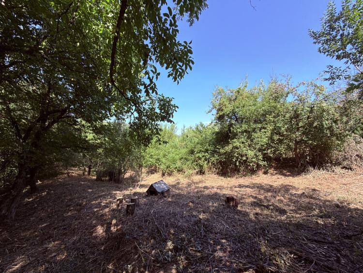 Teren 4.173 mp, front 60 m – Văliug, aproape de Lacul Gozna