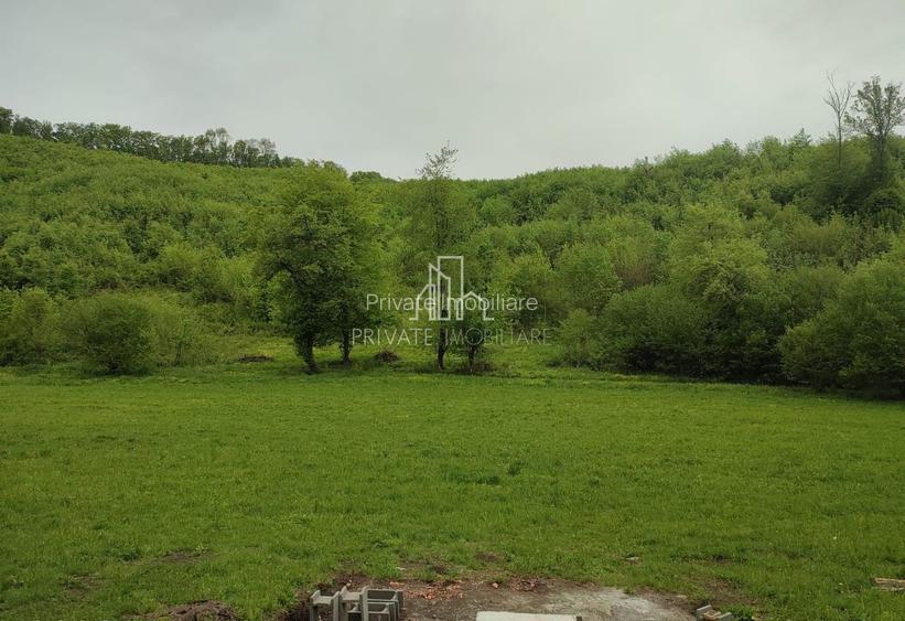 Teren de vanzare, 20.000Mp , Comuna Danes, drumul Crisului - 11