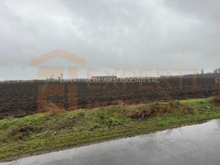 Teren situat in zona Lumina - 5