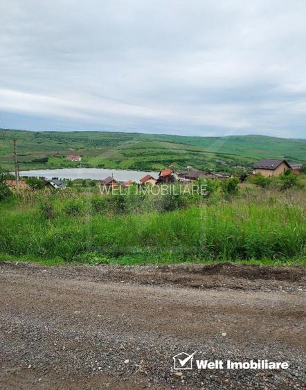 Teren de vanzare in Campenesti - 2