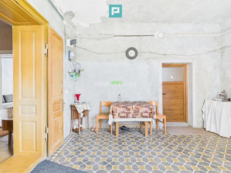 Casă cu grădină mare la 30 km de Timișoara - 19