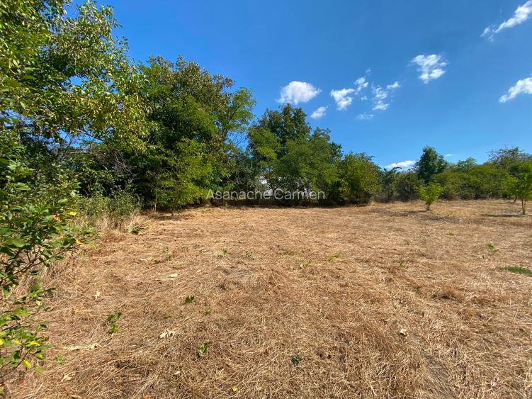 Vând teren intravilan comuna Parincea Jud Bacau - 5