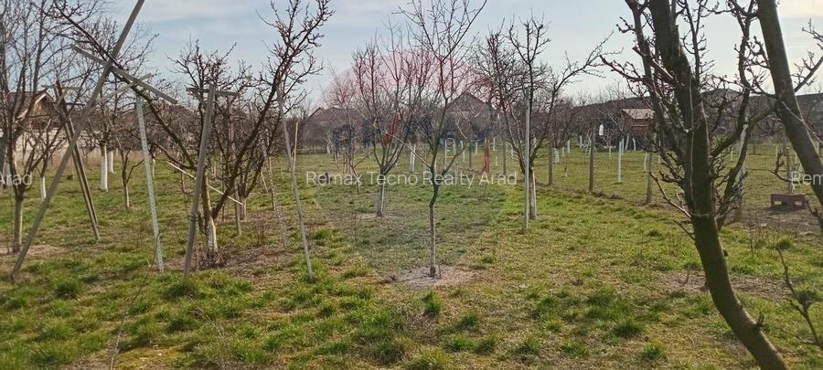 Teren Vladimirescu-  Zona Excelenta  2954 MP INTRAVILAN!!! - 8