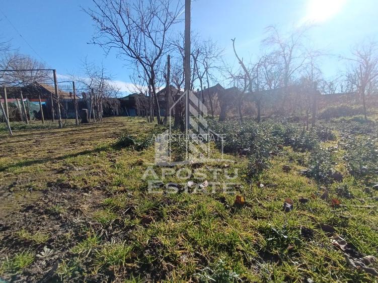 Casa individuala cu teren generos 2158mp, front 12m, livada, Freidorf - 13