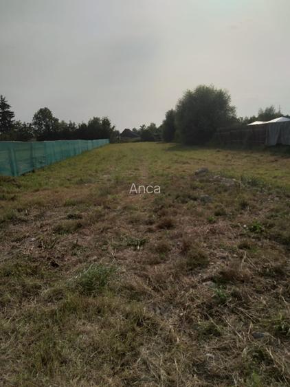 Teren intravilan in Oltet Vistea-acte la zi, totul in regula - 2