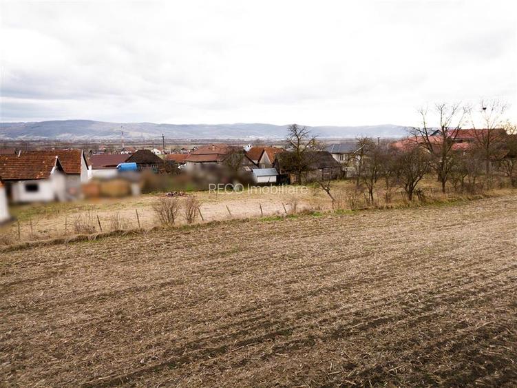 RECO ,teren intravilan in Tinaud,Bihor - 10