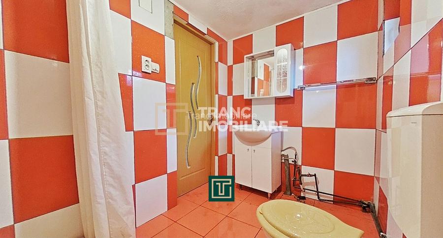 Casă de vânzare cu 4 camere în Zăbrani, teren 578 mp, front generos - 10