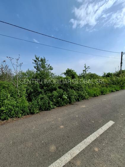 Teren Intravilan - 11