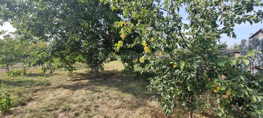 Teren 2000 mp de vânzare – Comana, deschidere la lac, aproape de Parcul Natural - 13