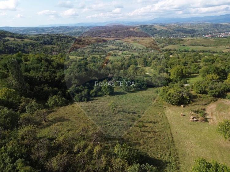 Teren de vânzare cu Panorama, Măgureni - 7