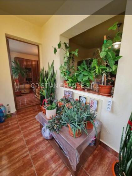 39880  Apartament 3 camere Casa de Cultura - 7