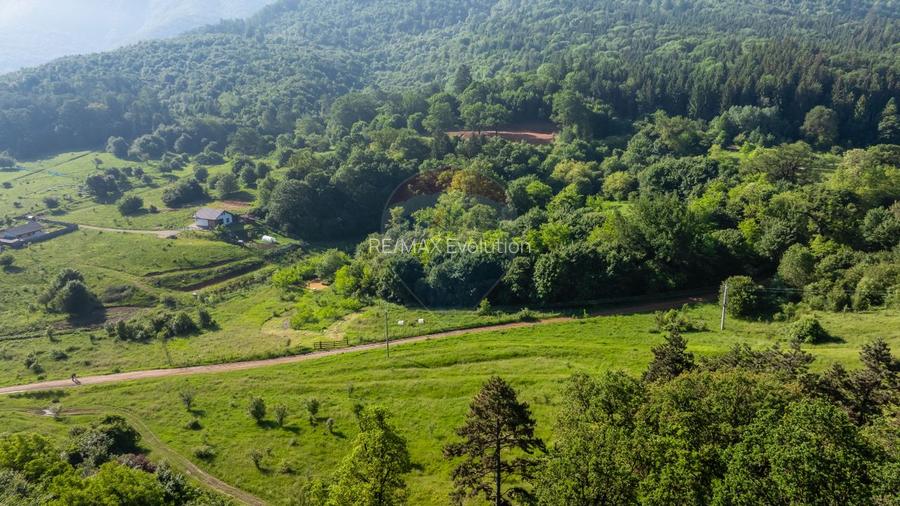 Teren 1.375 mp în Cristian, lângă Mănăstirea Sfântul Efrem cel Nou - 6