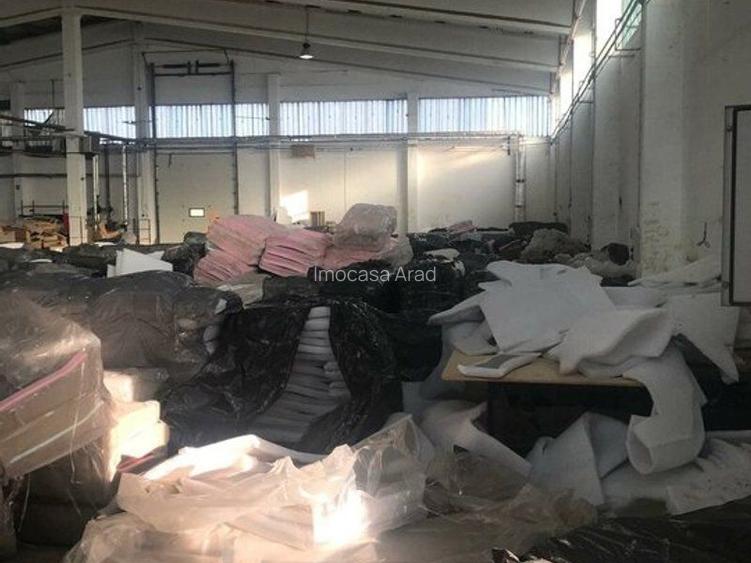 Hala Industriala de inchiriat Sannicolau Mic Arad - 4