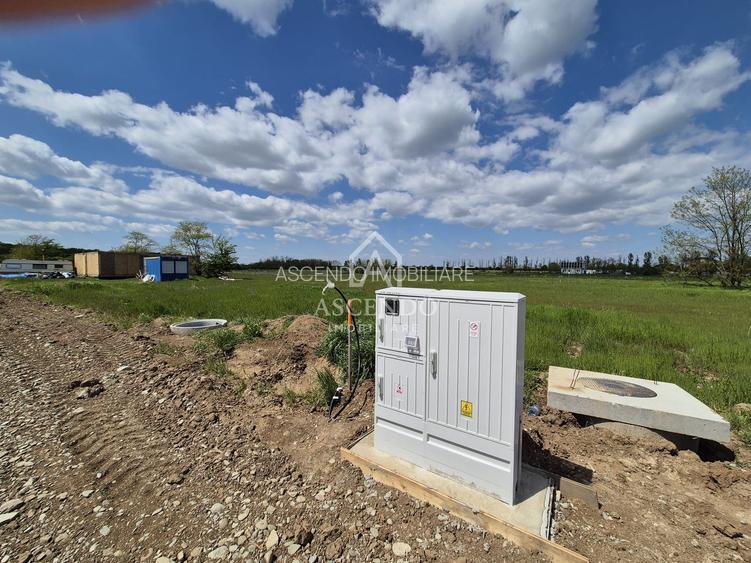 Teren intravilan 704 mp – Siliștea Snagovului | Lângă Pădurea Snagov - 9