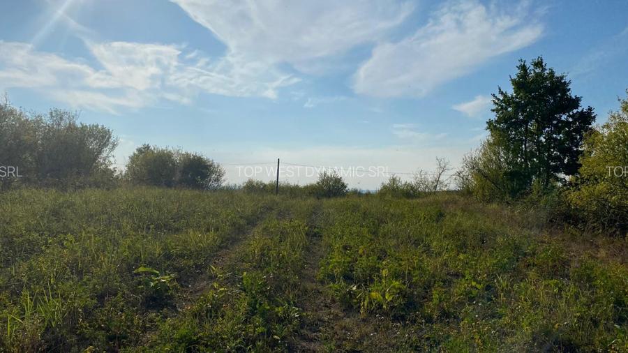 Teren intravilan, Saldabagiul de Munte - 5