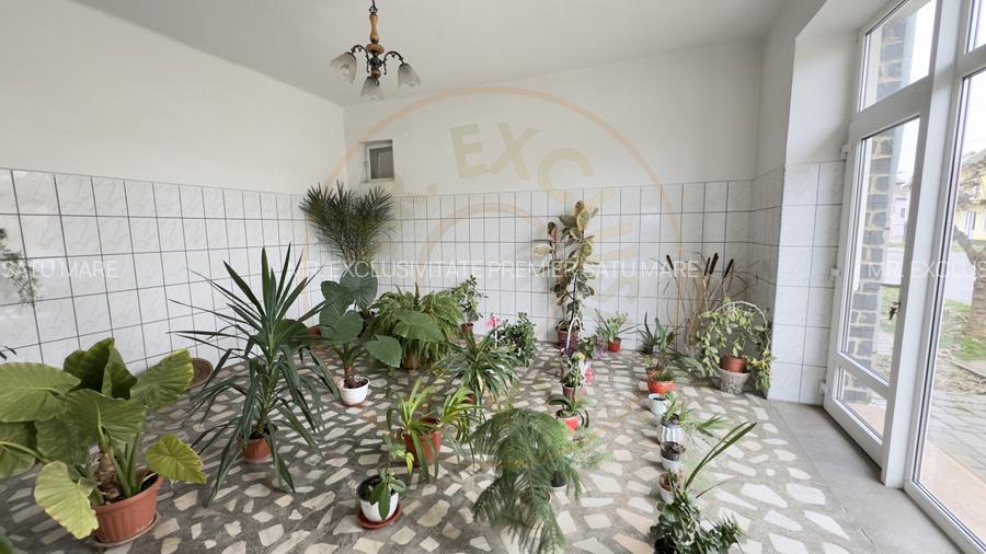 Casa 7 camere cu Teren 4.620 mp | Potential pentru rezidenta sau afacere | Carei - 18