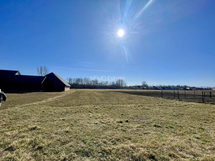 CASA RENOVATA + TEREN 3100 MP | CURTE SI GRADINA | FRATAUTII NOI - 23