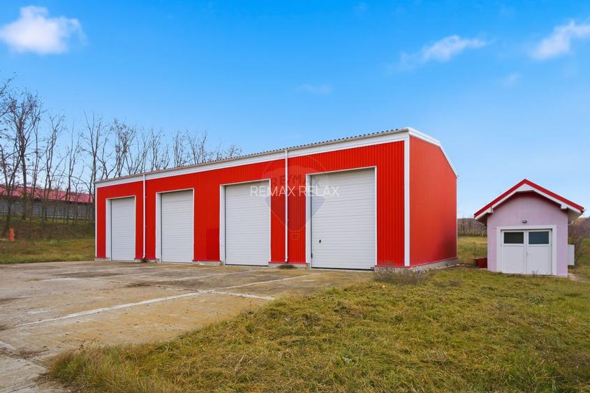 POZIȚIE STRATEGICĂ cu Potențial Major de Exploatare și Reconversie - 12