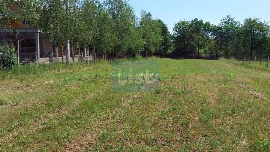 Teren 1942 mp, Baicoi, €32.500
 - 5
