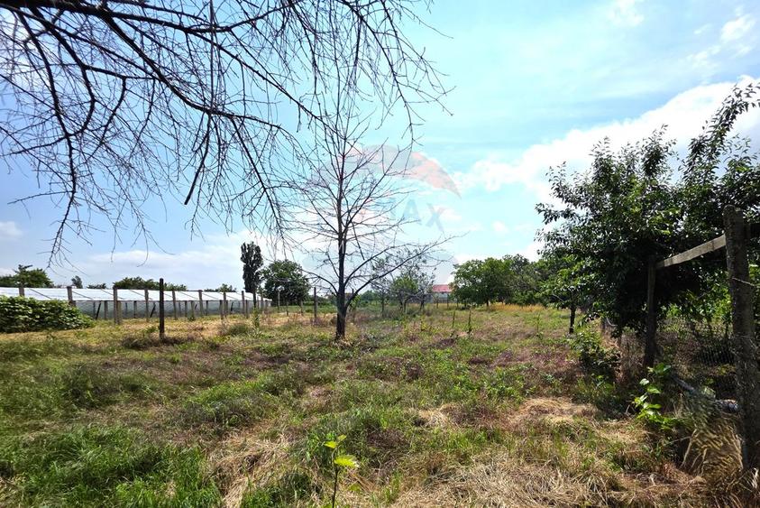 Casă cu teren generos in Potoceni, Buzau - 8