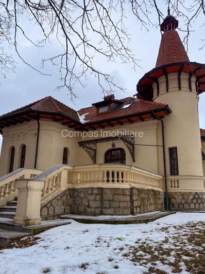 Domeniu fabulos zona Varatec - 10