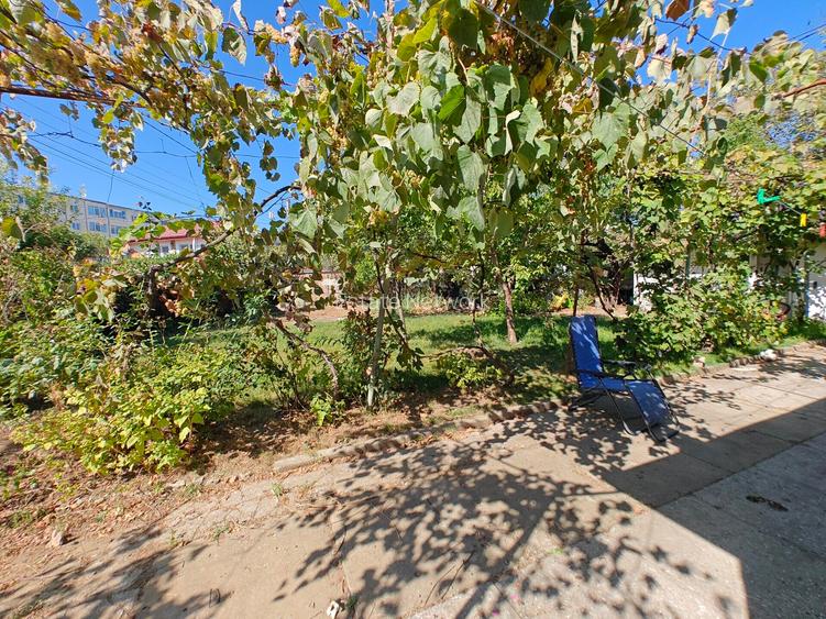 VANZARE TEREN MANGALIA - 9