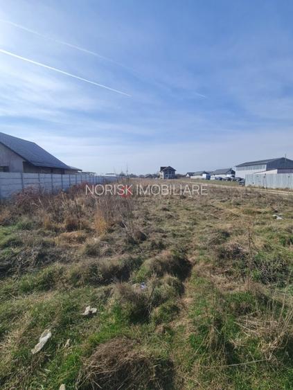 Terenuri Clinceni - 2.500mp -> 15 Ha - 7