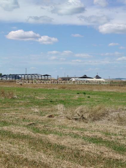 Teren intravilan industrial – Tomești, zona Contom - 3