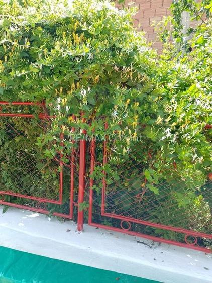 Casa cu gradina, Dacia 70 km de Brasov! - 13