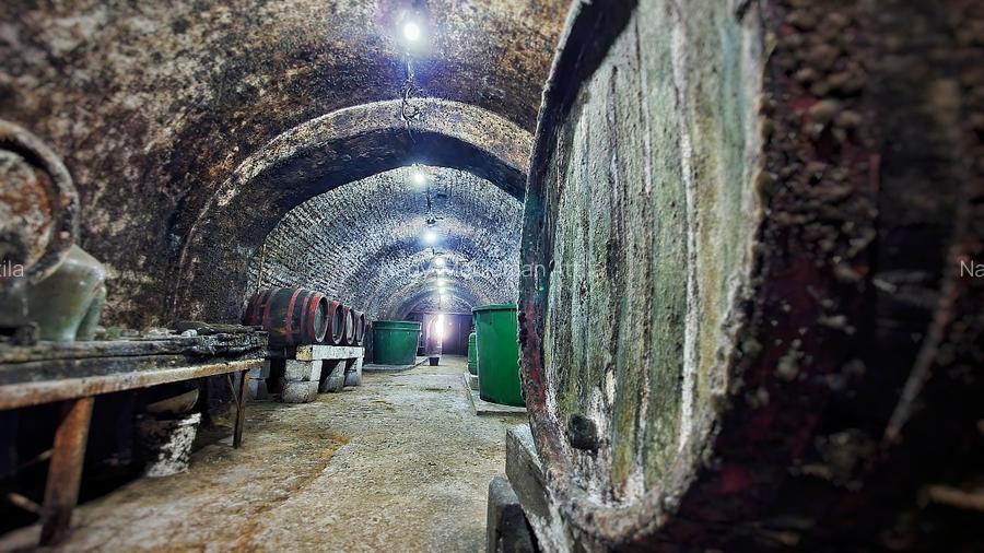 Investiție rară în Bihor - 16