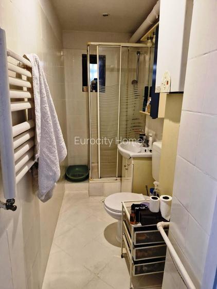 Floreasca-Garibaldi - 10