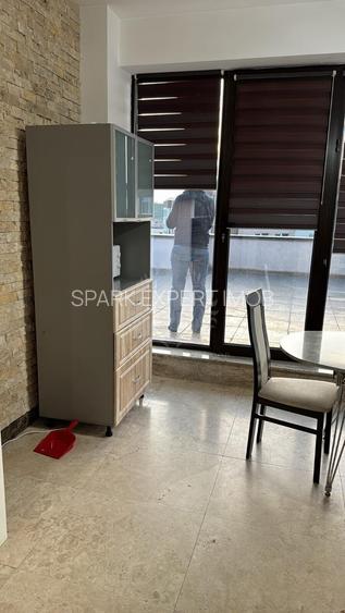 3 CAMERE // ZONA 9 MAI // PENTHOUSE// PET FRIENDLY - 3