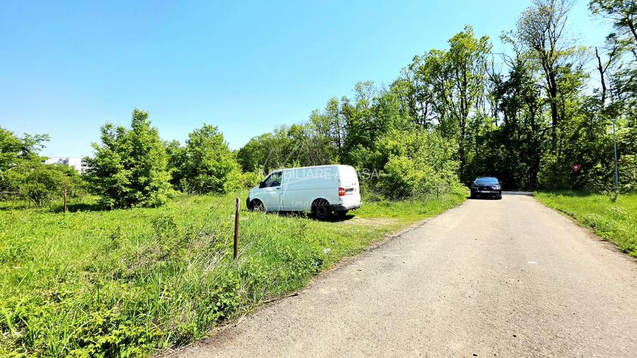 Teren intravilan, 2 fronturi, Drumul Padurea Pustnicu 65 - Greenfield - 21