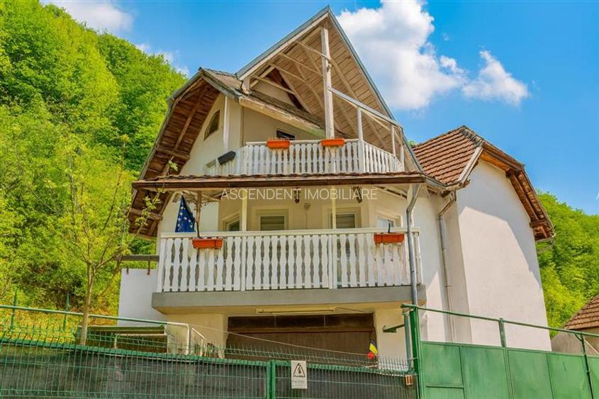 3D! Casa autentica,5.025 mp teren,in spectacolul montan al Cetatii Medievale Bra - 4