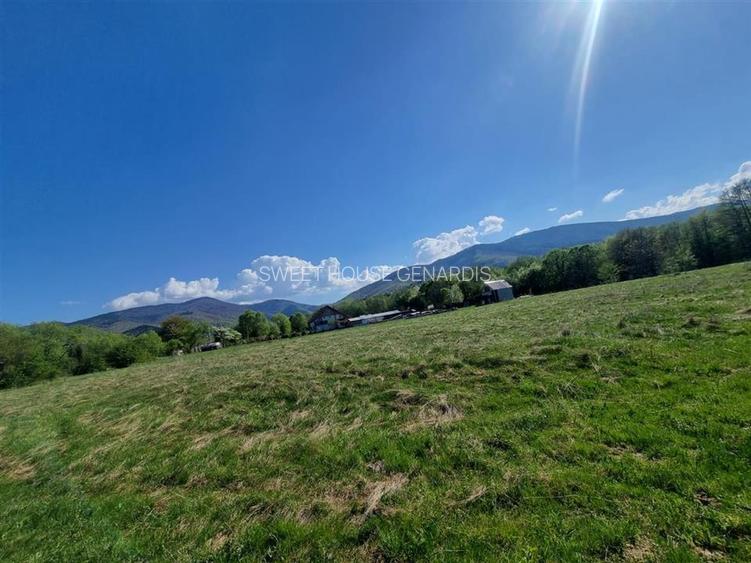 Teren valea Sebesului - 7