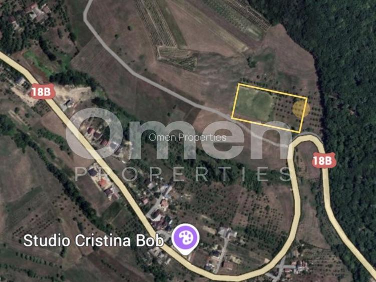 Teren intravilan de vânzare 7.000 mp – Groși, spre Dumbrăvița - 3