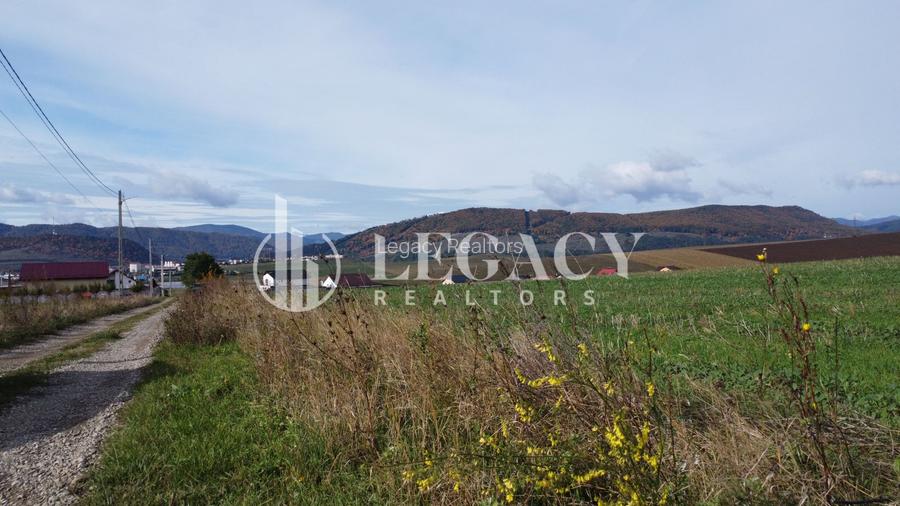 Teren intravilan 10.000 mp Gârcina lângă Sala Polivalenta Piatra Neamț - 4