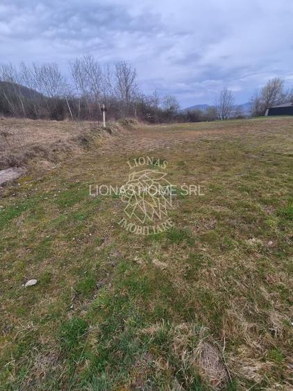 Teren  887 mp cu utilitati - Zona Dealul Jelnei - 3